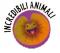 Clamidosauro icona Incredibili animali novembre 2019