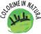 icona Colorime marzo 2020 icona Colorime marzo 2020