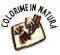 Marrone icona Colorime novembre 2019