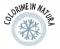 icona rime dicembre 2019 icona rime dicembre 2019